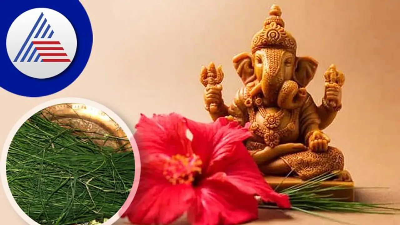 ಗಣಪನ ಮೆಚ್ಚಿಸೋಕೆ ಗರಿಕೆ ಹುಲ್ಲು ಸಾಕು! ಅವನಿಗೇಕೆ ದೂರ್ವೆ ಇಷ್ಟ?