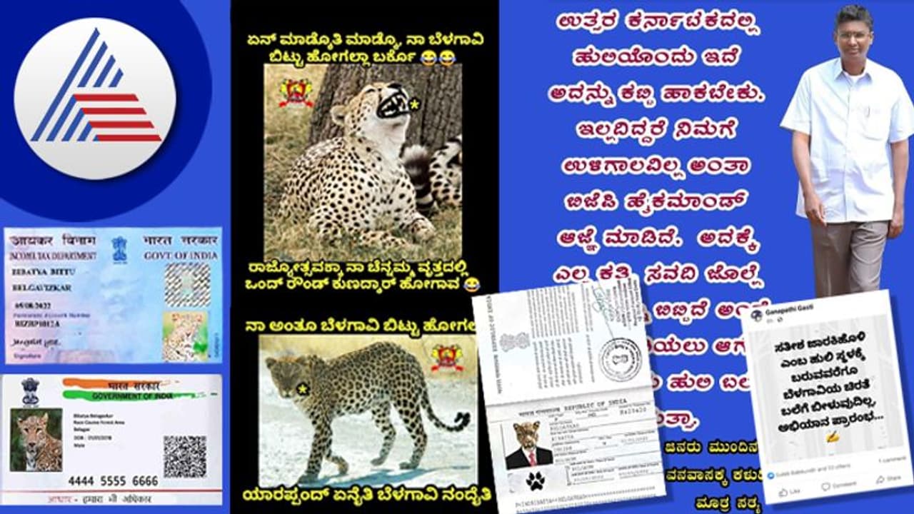 ಪತ್ತೆಯಾಗದ ಚಾಲಾಕಿ ಚಿರತೆ ಬಗ್ಗೆ ಟ್ರೋಲ್: ಆಧಾರ್, ಪ್ಯಾನ್, ಪಾಸ್ಪೋರ್ಟ್ ಸಮೇತ ಬೆಳಗಾವಿ ರಾಜಕಾರಣಕ್ಕೂ ಎಂಟ್ರಿ! ಪತ್ತೆಯಾಗದ ಚಾಲಾಕಿ ಚಿರತೆ ಬಗ್ಗೆ ಟ್ರೋಲ್: ಆಧಾರ್, ಪ್ಯಾನ್, ಪಾಸ್ಪೋರ್ಟ್ ಸಮೇತ ಬೆಳಗಾವಿ ರಾಜಕಾರಣಕ್ಕೂ ಎಂಟ್ರಿ!