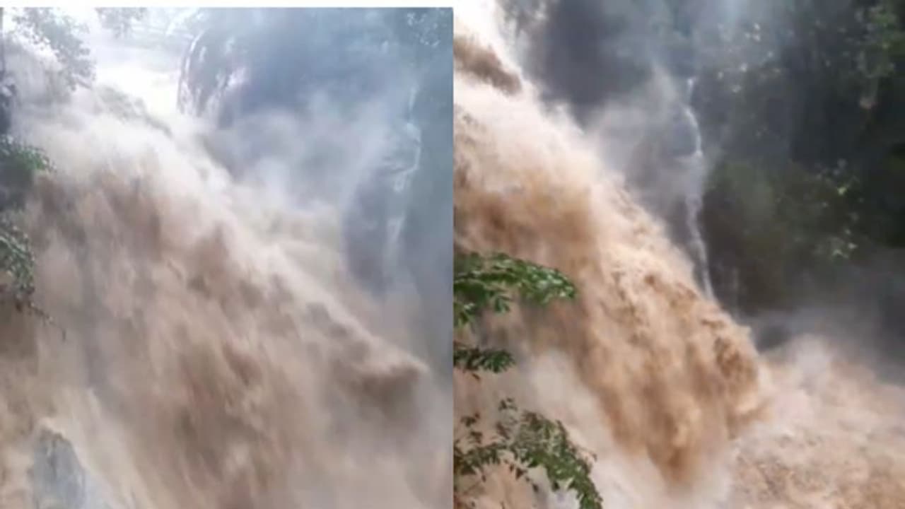 'കുത്തിയൊലിച്ച് ഭീകര രൂപം പൂണ്ട്' കരുവാരക്കുണ്ടിൽ അപ്രതീക്ഷിത മലവെള്ളപ്പാച്ചിൽ വീഡിയോ 'കുത്തിയൊലിച്ച് ഭീകര രൂപം പൂണ്ട്' കരുവാരക്കുണ്ടിൽ അപ്രതീക്ഷിത മലവെള്ളപ്പാച്ചിൽ വീഡിയോ