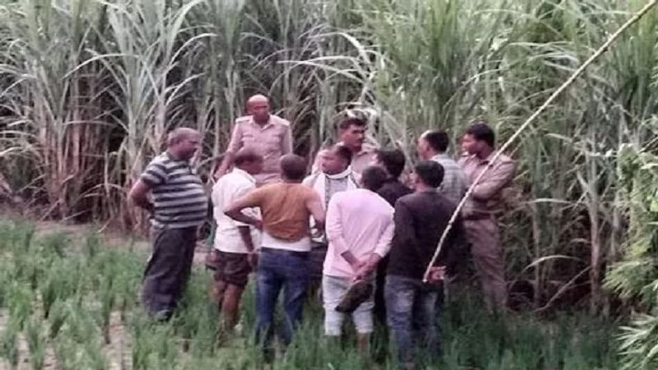 बेटी को प्रेमी के साथ आपत्तिजनक स्थिति में देखकर पिता ने की हत्या, इस अंदाज में लगाया दोनों की लाश को ठिकाने बेटी को प्रेमी के साथ आपत्तिजनक स्थिति में देखकर पिता ने की हत्या, इस अंदाज में लगाया दोनों की लाश को ठिकाने