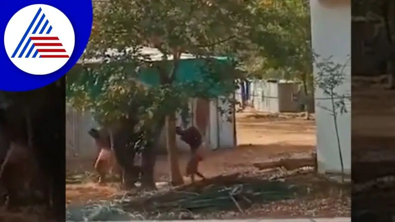 ದೇಗುಲದ ಆನೆಗೆ ಮಾವುತರಿಂದ ಹಿಂಸೆ: ಆನೆಯ ಬಿಡುಗಡೆಗೆ ಪೇಟಾ ಆಗ್ರಹ