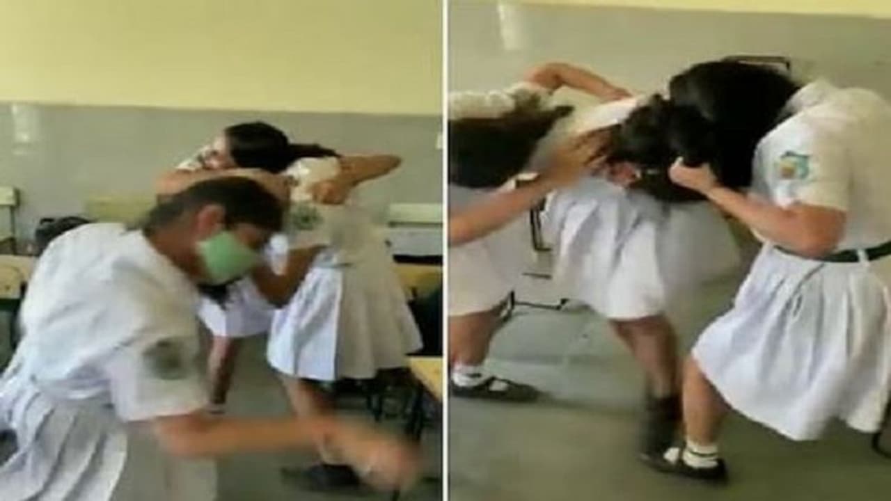 कानपुर की नामी पाठशाला में छात्राओं का दंगल, क्लासरूम में 3 छात्राओं ने एक दूसरे का किया ये हाल कानपुर की नामी पाठशाला में छात्राओं का दंगल, क्लासरूम में 3 छात्राओं ने एक दूसरे का किया ये हाल