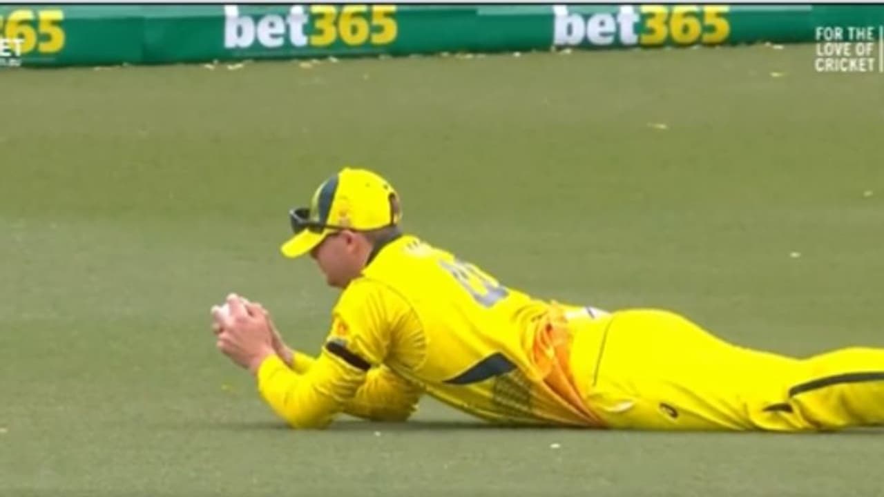 സ്റ്റീവ് പറക്കും സ്‌മിത്ത്; പിന്നോട്ടോടി അത്യുഗ്രന്‍ ക്യാച്ച് വീഡിയോ