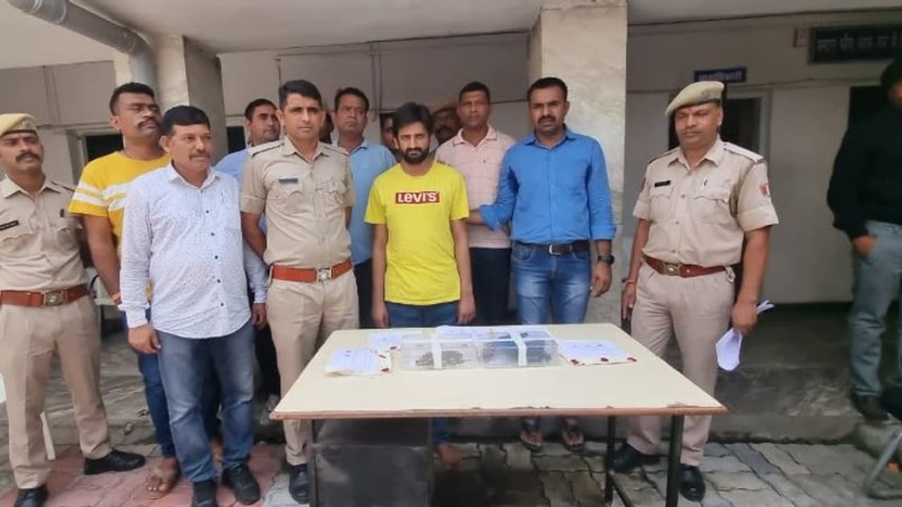 राजस्थान में मध्य प्रदेश से आ रही डेढ़ करोड़ की ड्रग्स पकड़ी, स्कॉर्पियो की तलाशी ली तो हैरान रह गई पुलिस राजस्थान में मध्य प्रदेश से आ रही डेढ़ करोड़ की ड्रग्स पकड़ी, स्कॉर्पियो की तलाशी ली तो हैरान रह गई पुलिस