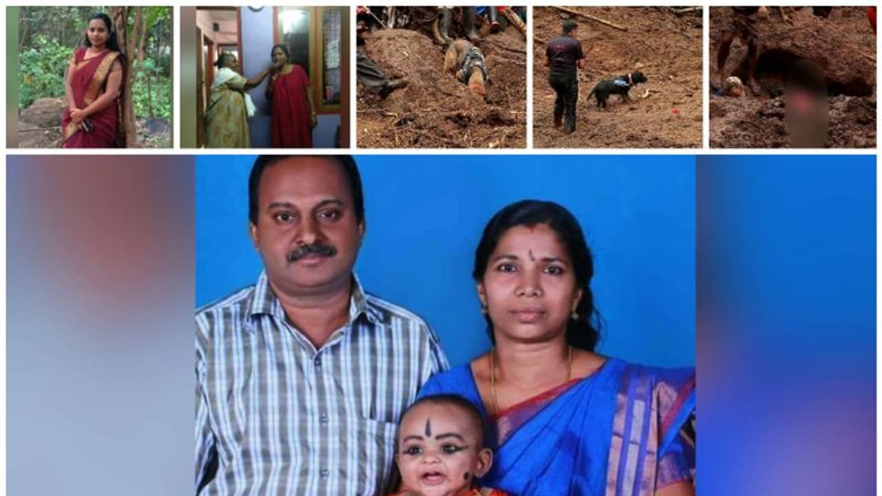 നോവായി കുടയത്തൂർ: അപ്രതീക്ഷിത ഉരുൾപ്പൊട്ടലിൽ 5 വയസുകാരനടക്കം ഒരു കുടുംബത്തിലെ 5പേർക്ക് ദാരുണാന്ത്യം നോവായി കുടയത്തൂർ: അപ്രതീക്ഷിത ഉരുൾപ്പൊട്ടലിൽ 5 വയസുകാരനടക്കം ഒരു കുടുംബത്തിലെ 5പേർക്ക് ദാരുണാന്ത്യം