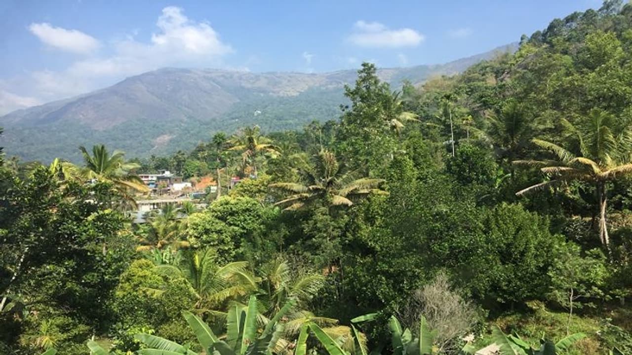 Landslide in Kerala's Idukki kills 5 of family, all bodies recovered: Report Landslide in Kerala's Idukki kills 5 of family, all bodies recovered: Report
