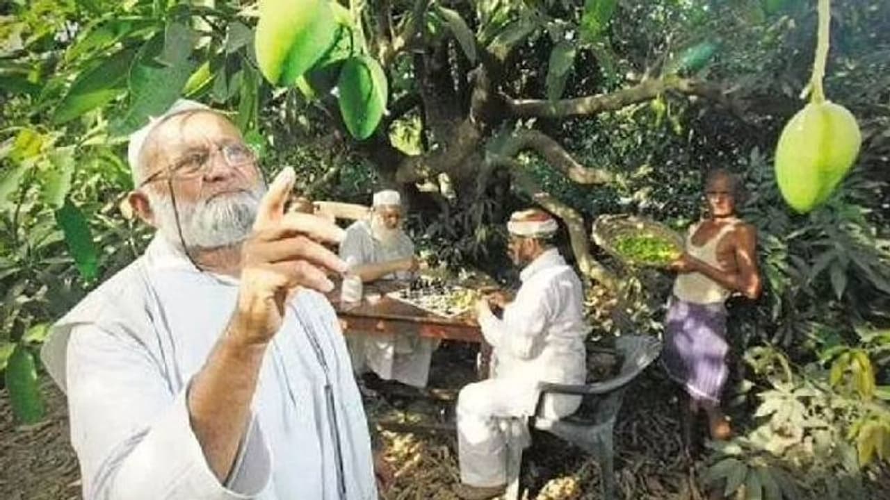 മാംഗോ മാൻ, തന്റെ ഭൂമിയിൽ വിളയിക്കുന്നത് 1600 വ്യത്യസ്ത ഇനം മാമ്പഴം മാംഗോ മാൻ, തന്റെ ഭൂമിയിൽ വിളയിക്കുന്നത് 1600 വ്യത്യസ്ത ഇനം മാമ്പഴം