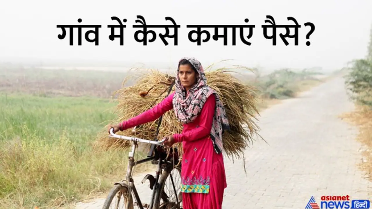 गांव में करियर बनाएं, पैसे कमाएं: ये पांच काम आपको बना सकते हैं मालामाल, डिग्री की जरुरत भी नहीं गांव में करियर बनाएं, पैसे कमाएं: ये पांच काम आपको बना सकते हैं मालामाल, डिग्री की जरुरत भी नहीं