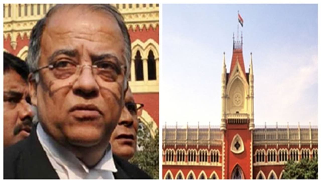 'সমান গুরুত্ব দেওয়া হচ্ছে না সব মামলাকে', একটি বিশেষ বেঞ্চের বিরুদ্ধে প্রধান বিচারপতির দ্বারস্থ আইনজীবী অরুণাভ