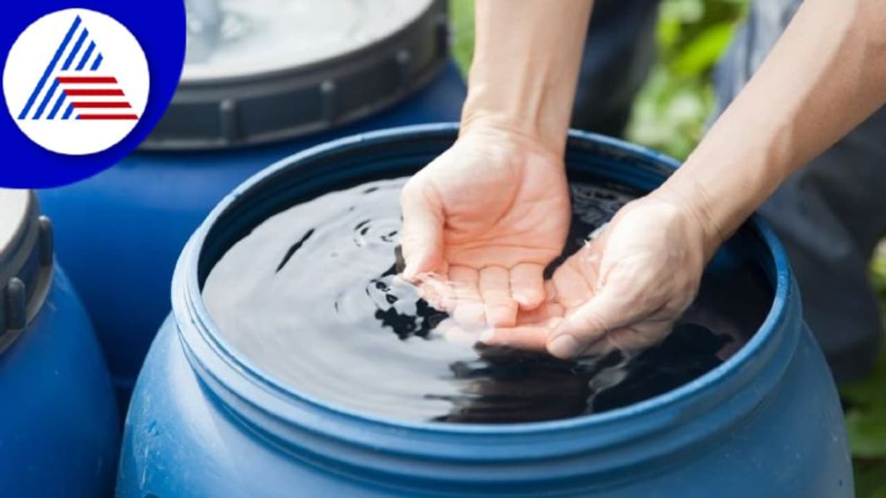 ಮಳೆನೀರು ಸಂಗ್ರಹಿಸಿ ಕುಡಿಯೋ ಅಭ್ಯಾಸ ಆರೋಗ್ಯಕ್ಕೆ ಒಳ್ಳೆಯದಾ?