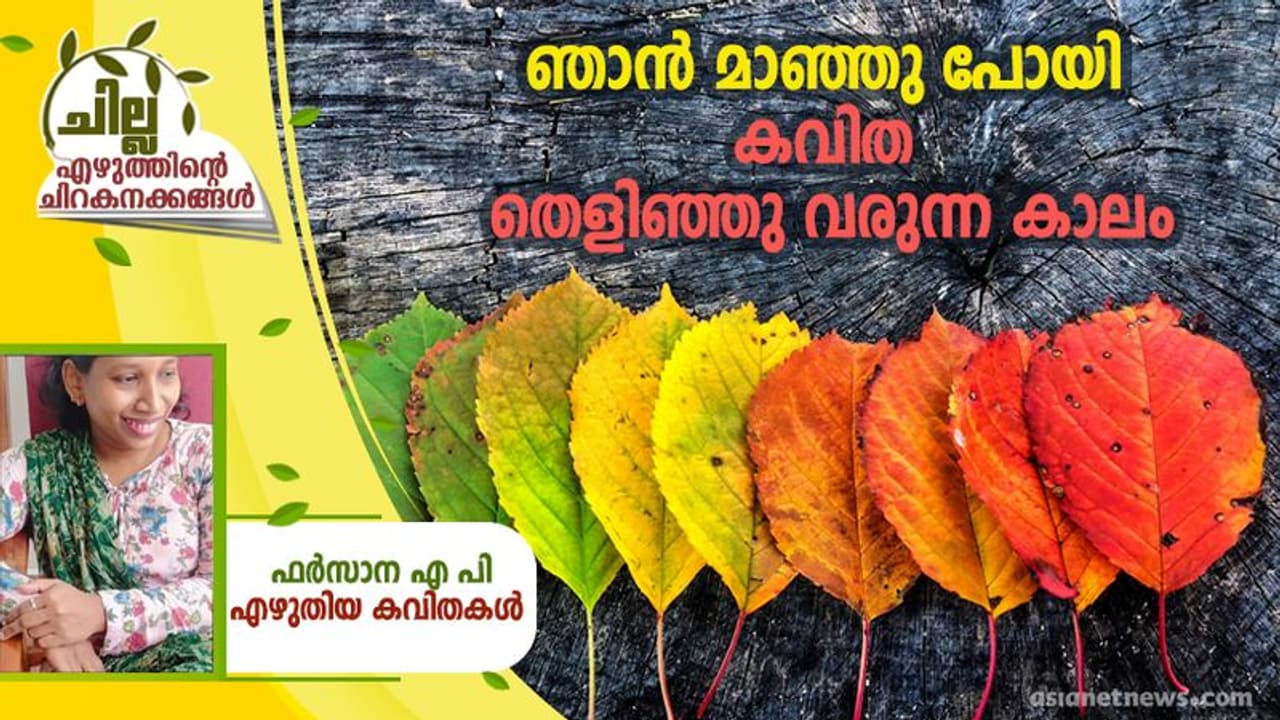 Malayalam Poem : ഞാന് മാഞ്ഞു പോയി കവിത തെളിഞ്ഞു വരുന്ന കാലം, ഫര്സാന എ പി എഴുതിയ കവിതകള് Malayalam Poem : ഞാന് മാഞ്ഞു പോയി കവിത തെളിഞ്ഞു വരുന്ന കാലം, ഫര്സാന എ പി എഴുതിയ കവിതകള്