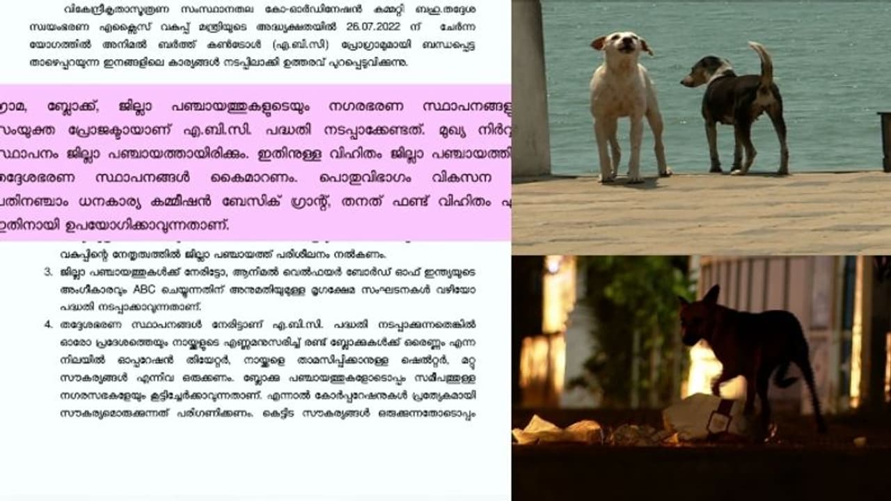 നായ്ക്കളെ വന്ധ്യംകരിക്കാൻ സർക്കാർ നിർദേശമെത്തി; പണം എവിടുന്ന്? തദ്ദേശ സ്ഥാപനങ്ങൾ ആശങ്കയിൽ നായ്ക്കളെ വന്ധ്യംകരിക്കാൻ സർക്കാർ നിർദേശമെത്തി; പണം എവിടുന്ന്? തദ്ദേശ സ്ഥാപനങ്ങൾ ആശങ്കയിൽ