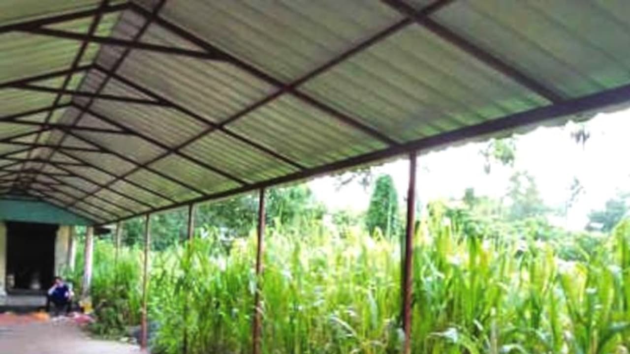 മൃതദേഹം വയ്ക്കുന്ന ഗ്രില്ല് പോലും കണ്ടെത്തിയത് ആക്രിക്കടയിൽ, സംസ്കാരം പുറത്ത്, കായംകുളം ശ്മശാനം കാട് കയ്യേറി മൃതദേഹം വയ്ക്കുന്ന ഗ്രില്ല് പോലും കണ്ടെത്തിയത് ആക്രിക്കടയിൽ, സംസ്കാരം പുറത്ത്, കായംകുളം ശ്മശാനം കാട് കയ്യേറി