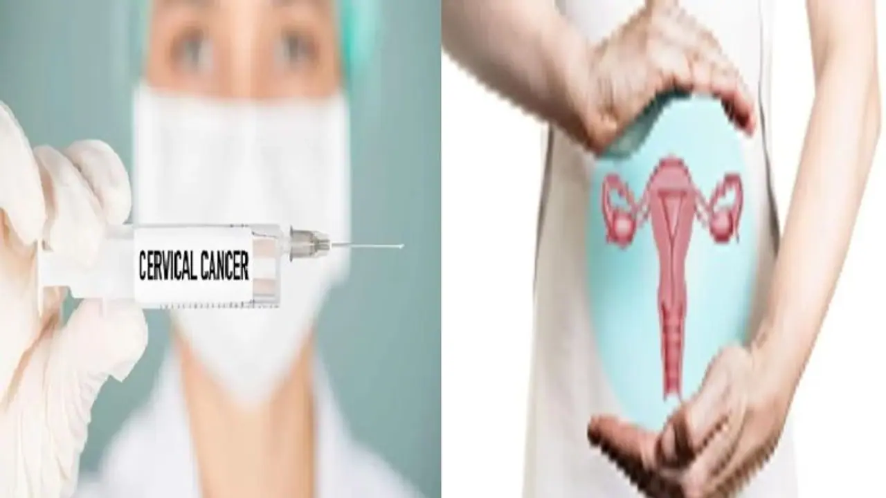 Cervical cancer: பெண்களே உஷார்: இந்த 6 அறிகுறிகள் இருந்தால் எச்சரிக்கையா இருங்கள்! Cervical cancer: பெண்களே உஷார்: இந்த 6 அறிகுறிகள் இருந்தால் எச்சரிக்கையா இருங்கள்!