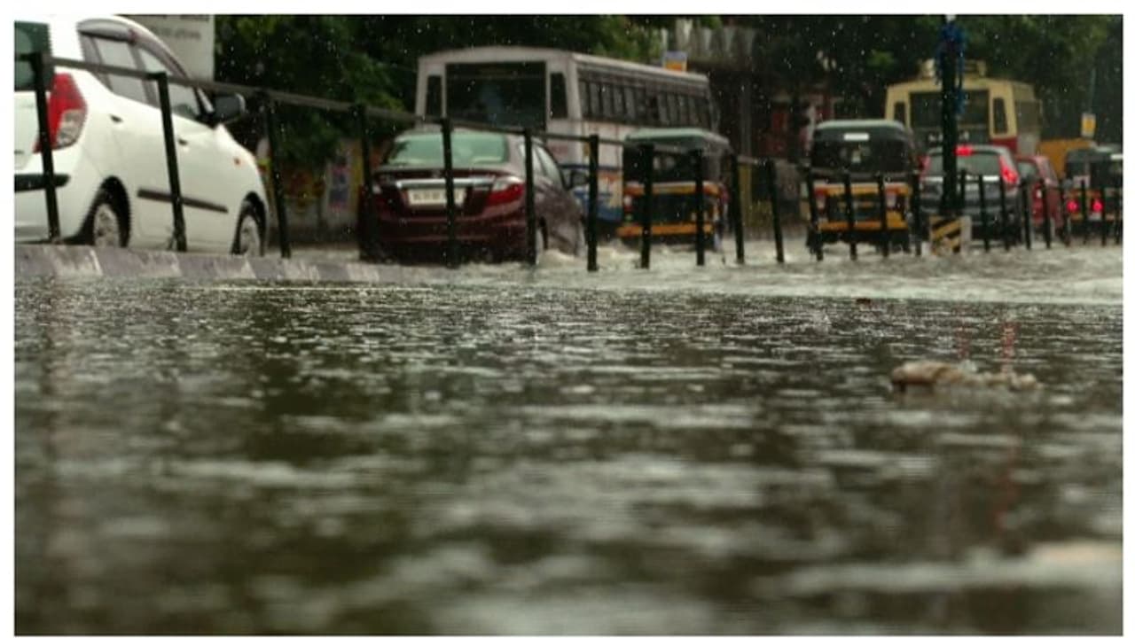 'പറഞ്ഞ പോലെ' വേനൽമഴ എത്തി, പത്തനംതിട്ടയിലും കോട്ടയത്തും വിവിധ ഇടങ്ങളിൽ മഴ; രാത്രി കൂടുതൽ ജില്ലകളിൽ സാധ്യത 'പറഞ്ഞ പോലെ' വേനൽമഴ എത്തി, പത്തനംതിട്ടയിലും കോട്ടയത്തും വിവിധ ഇടങ്ങളിൽ മഴ; രാത്രി കൂടുതൽ ജില്ലകളിൽ സാധ്യത