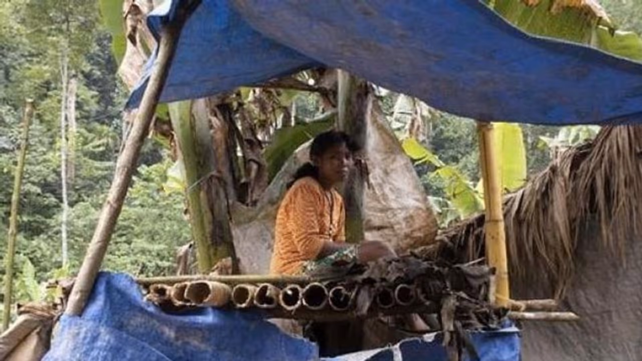 यहां भाई बहन, मां बेटे और पिता बेटी के बीच रजामंदी से बनते हैं फिजिकल रिलेशन? यहां भाई बहन, मां बेटे और पिता बेटी के बीच रजामंदी से बनते हैं फिजिकल रिलेशन?