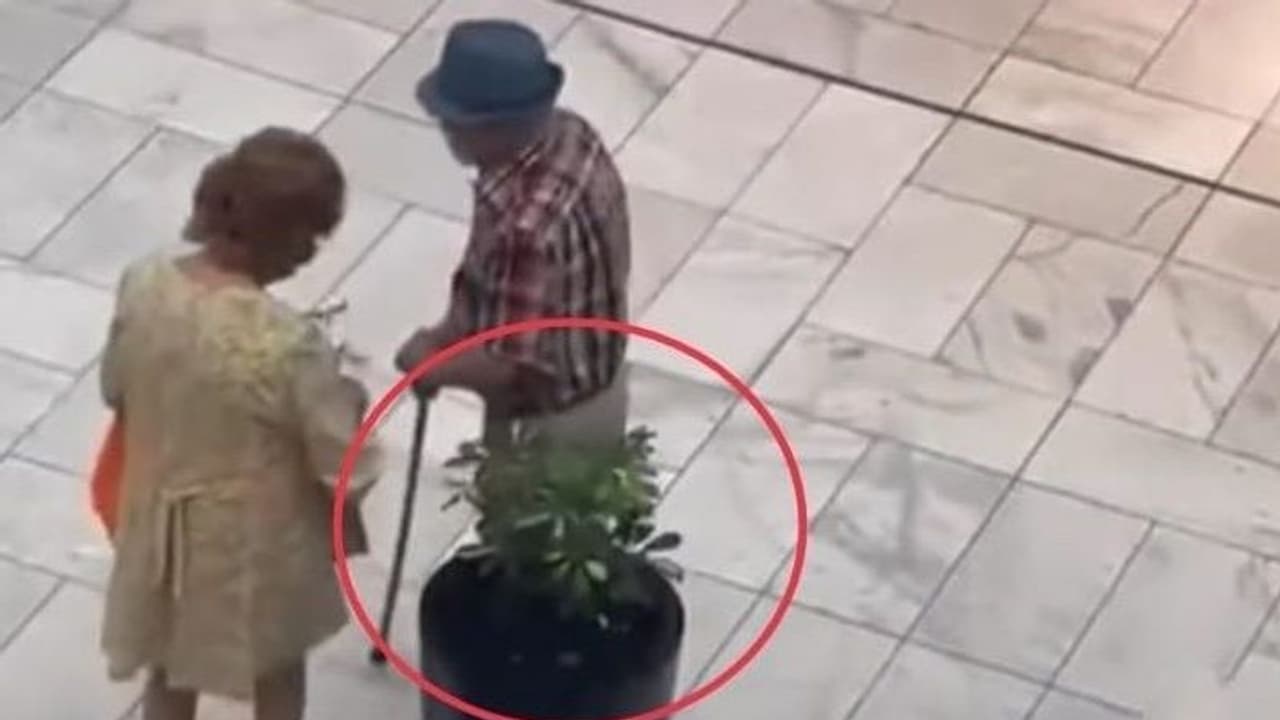 मॉल घूमने आए बुजुर्ग दंपति ने सजावट के लिए रखी वो चीज चुराकर बैग में रख ली, मगर ये हरकत कैमरे रिकॉर्ड हो गई मॉल घूमने आए बुजुर्ग दंपति ने सजावट के लिए रखी वो चीज चुराकर बैग में रख ली, मगर ये हरकत कैमरे रिकॉर्ड हो गई