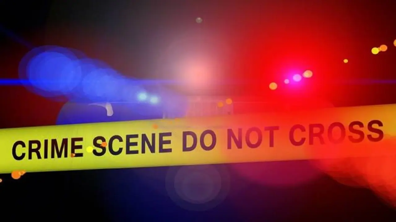 പൂജ ചെയ്‍താൽ എന്തും നടക്കുമെന്ന വിശ്വാസം, ഒന്നും നടന്നില്ല, പൂജാരിയെയും മകനെയും യുവാവ് കൊലപ്പെടുത്തി