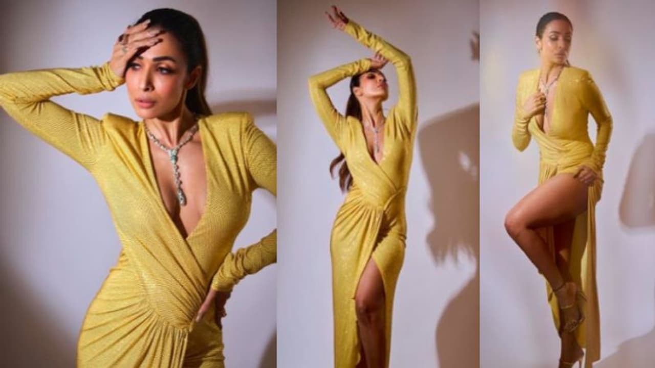 Malaika Arora: ഹോട്ട് ലുക്കിൽ മലൈക അറോറ; ഗൗണിന്റെ വില 3.66 ലക്ഷം രൂപ ! Malaika Arora: ഹോട്ട് ലുക്കിൽ മലൈക അറോറ; ഗൗണിന്റെ വില 3.66 ലക്ഷം രൂപ !