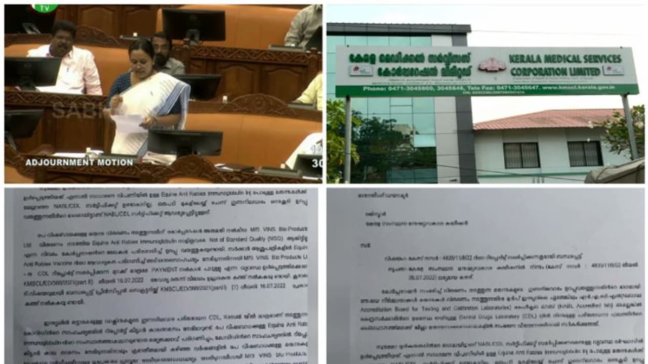 'വിശ്വാസം കമ്പനിയെ മാത്രം'; സെന്ട്രൽ ഡ്രഗ്സ് ലാബ് റിപ്പോർട്ട് ഇല്ലാത്ത പേവിഷ വാക്സീനും കേരളത്തിലെത്തി 'വിശ്വാസം കമ്പനിയെ മാത്രം'; സെന്ട്രൽ ഡ്രഗ്സ് ലാബ് റിപ്പോർട്ട് ഇല്ലാത്ത പേവിഷ വാക്സീനും കേരളത്തിലെത്തി