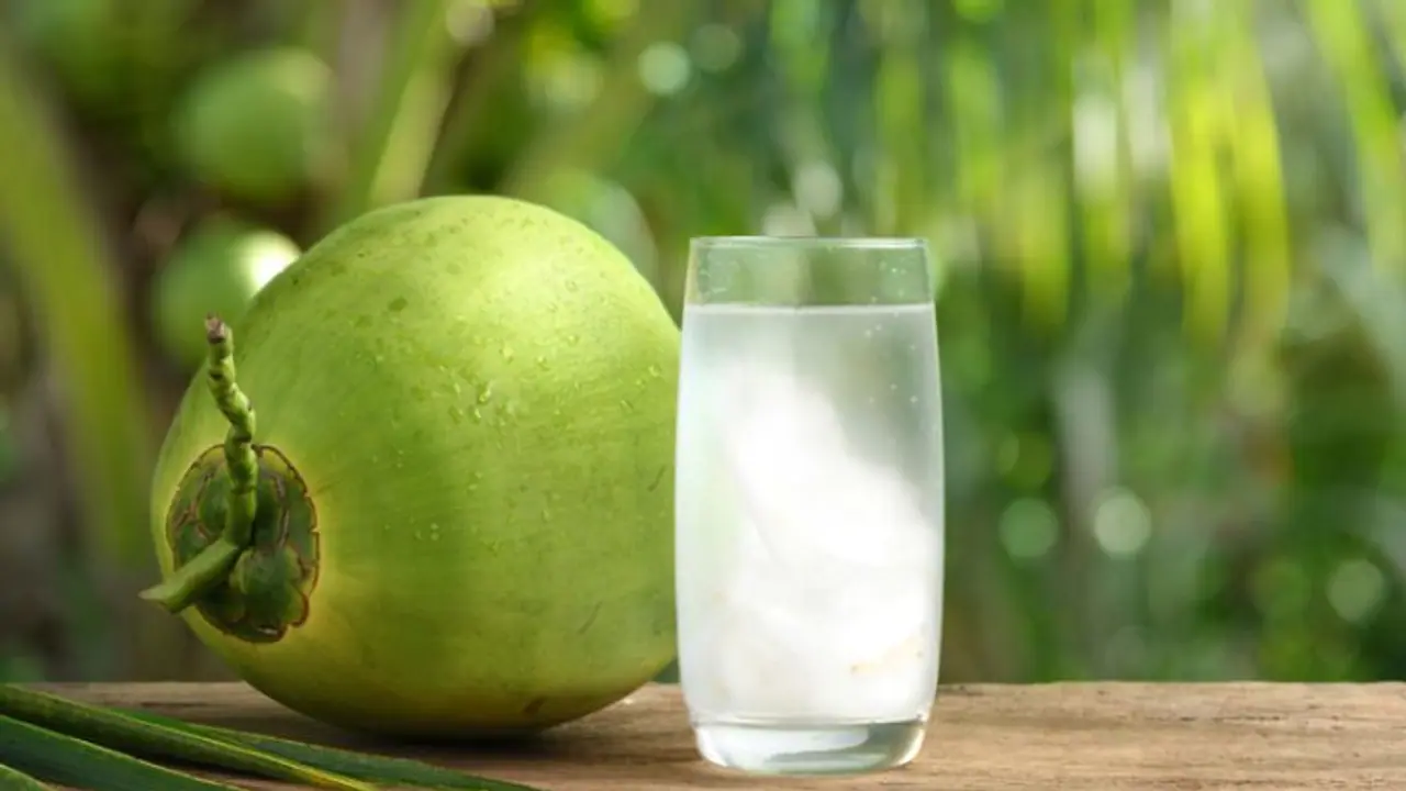 Weight Loss के लिए ऐसे पिएं नारियल पानी, 10 दिनों में दिखेगा असर