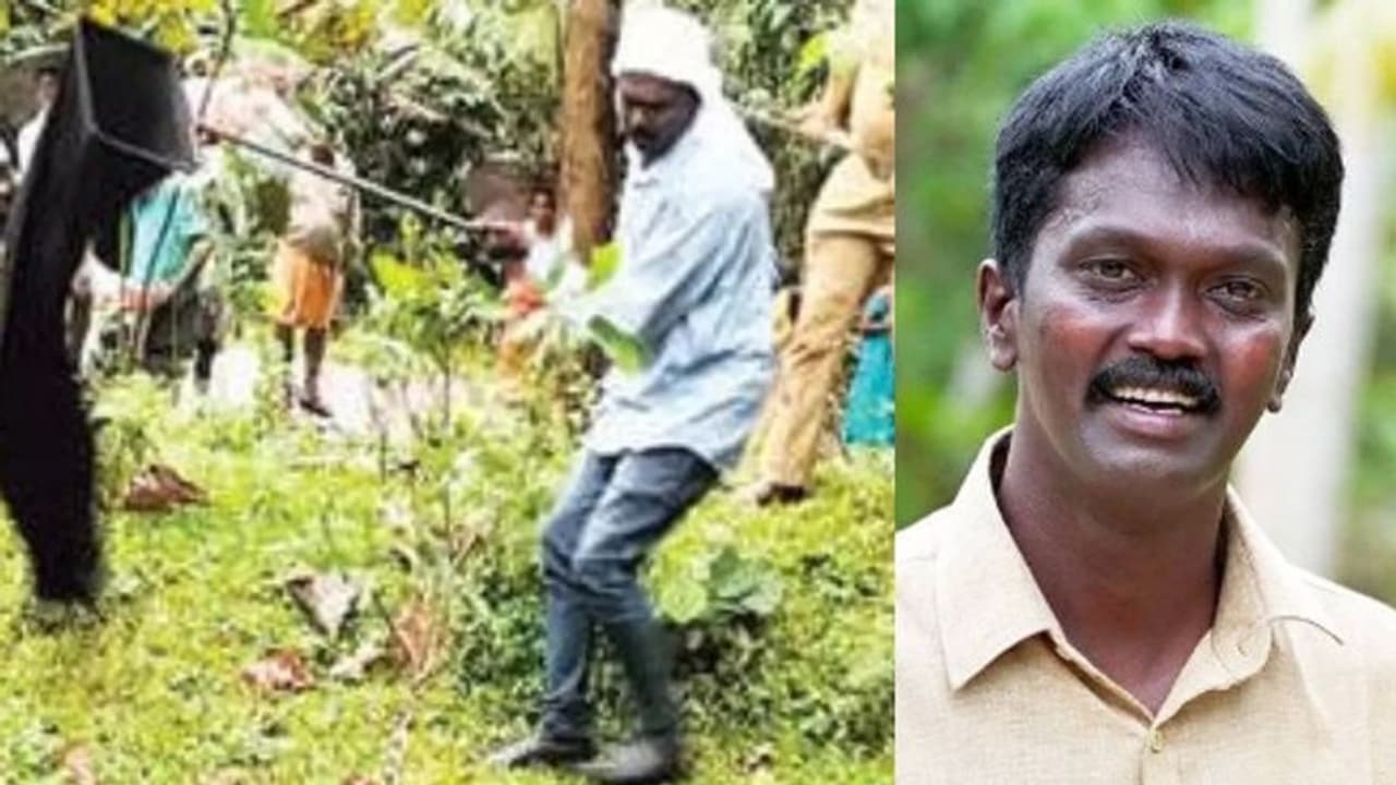 വനം വകുപ്പ് നിയമങ്ങള് പാലിച്ച് രാജവെമ്പാലയെ പിടിച്ച് വാവ സുരേഷ് വനം വകുപ്പ് നിയമങ്ങള് പാലിച്ച് രാജവെമ്പാലയെ പിടിച്ച് വാവ സുരേഷ്