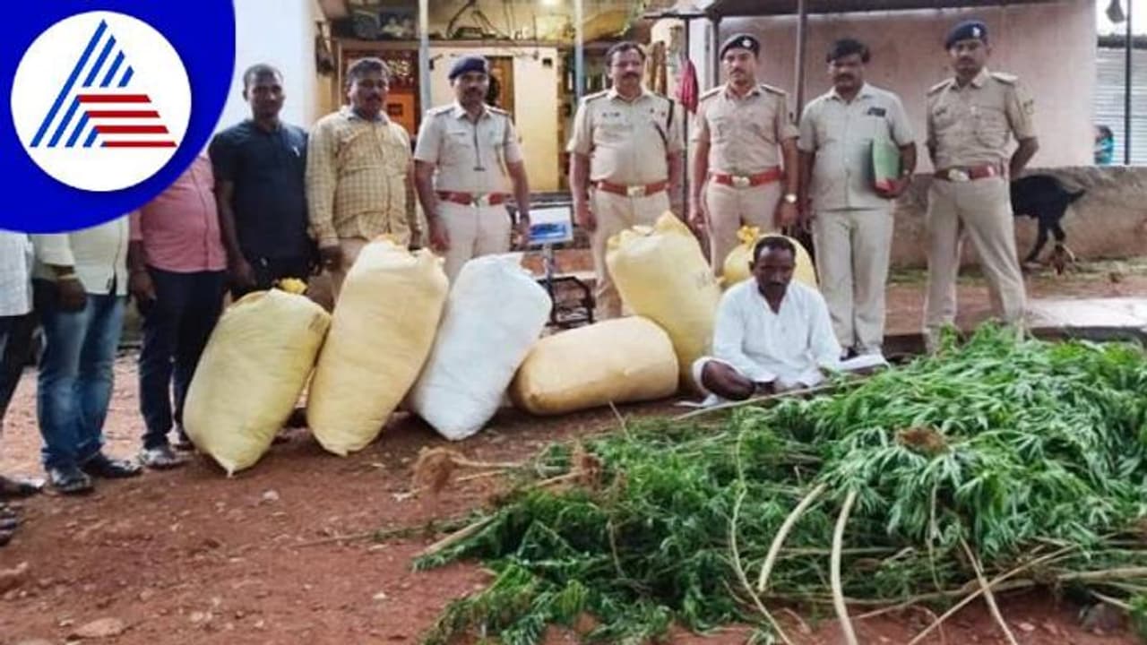 Kalaburagi Crime: ಸುರಪುರದಲ್ಲಿ 1.6 ಕೋಟಿ ಮೌಲ್ಯದ ಗಾಂಜಾ ವಶ, ಓರ್ವನ ಬಂಧನ Kalaburagi Crime: ಸುರಪುರದಲ್ಲಿ 1.6 ಕೋಟಿ ಮೌಲ್ಯದ ಗಾಂಜಾ ವಶ, ಓರ್ವನ ಬಂಧನ