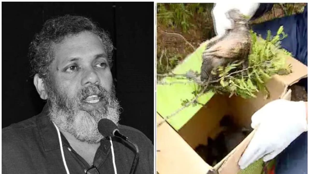 പക്ഷിക്കുഞ്ഞുങ്ങള് ചത്ത സംഭവം; 'സമയമെടുത്ത് ചെയ്യേണ്ട കാര്യങ്ങളായിരുന്നു'; സയന്റിസ്റ്റ് ഡോ. ടി വി സജീവ് പക്ഷിക്കുഞ്ഞുങ്ങള് ചത്ത സംഭവം; 'സമയമെടുത്ത് ചെയ്യേണ്ട കാര്യങ്ങളായിരുന്നു'; സയന്റിസ്റ്റ് ഡോ. ടി വി സജീവ്