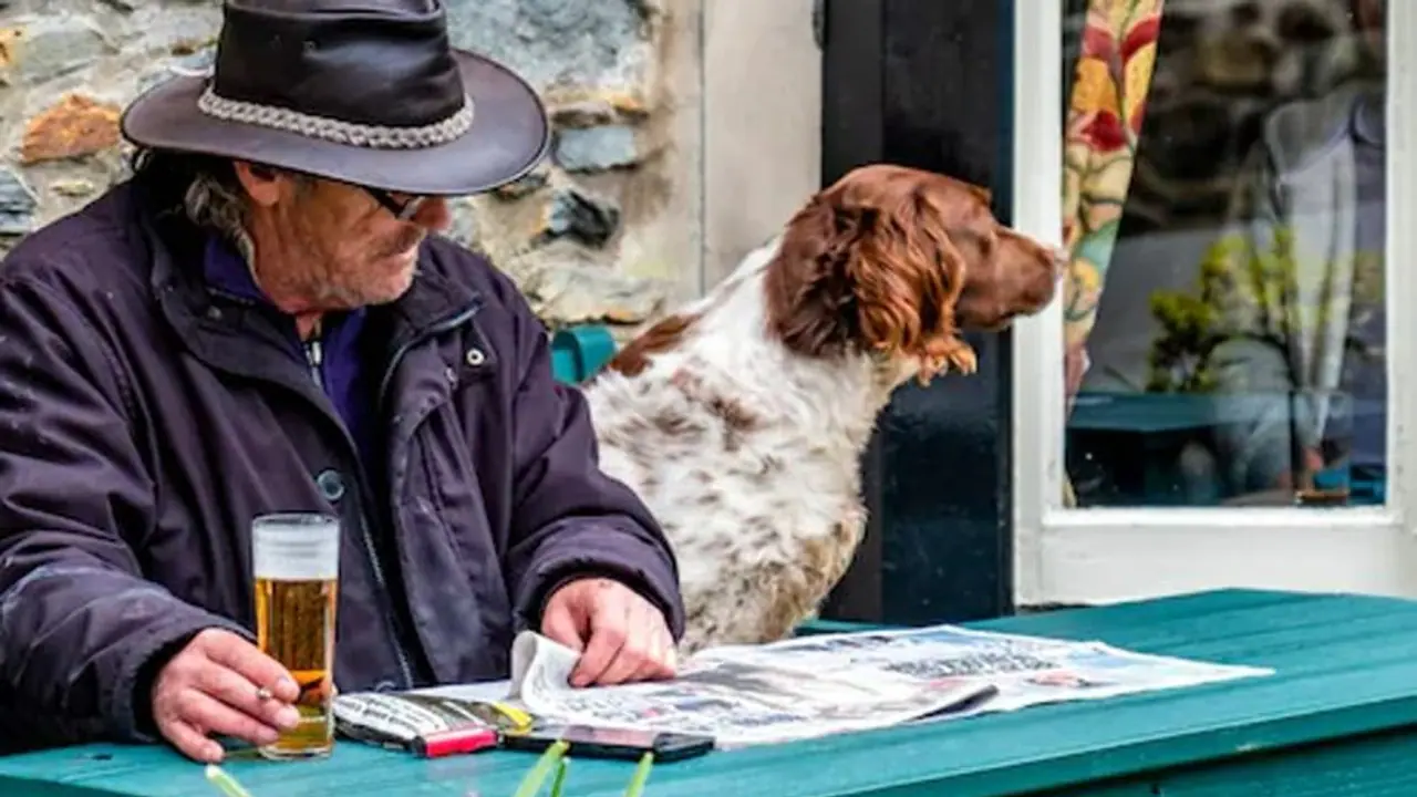 ನಾಯಿಯನ್ನು ಒಳಗೆ ಬಿಡದ ಪಬ್‌ಗೆ ಬರೋಬ್ಬರಿ 4.3 ಲಕ್ಷ ದಂಡ