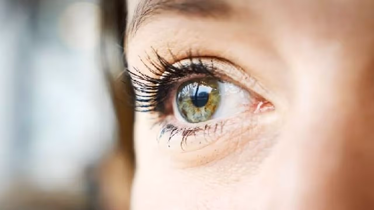 World Sight Day 2022 : 'നിങ്ങളുടെ കണ്ണുകളെ സ്നേഹിക്കുക'; ഇന്ന് ലോക കാഴ്ച ദിനം 