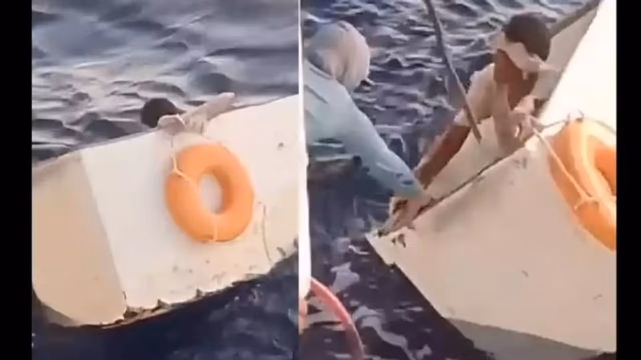 ബോട്ട് തകര്‍ന്ന് കടലില്‍ കുടുങ്ങിയ ആള്‍ ഫ്രീസറില്‍ കഴിഞ്ഞത് 11 ദിവസം