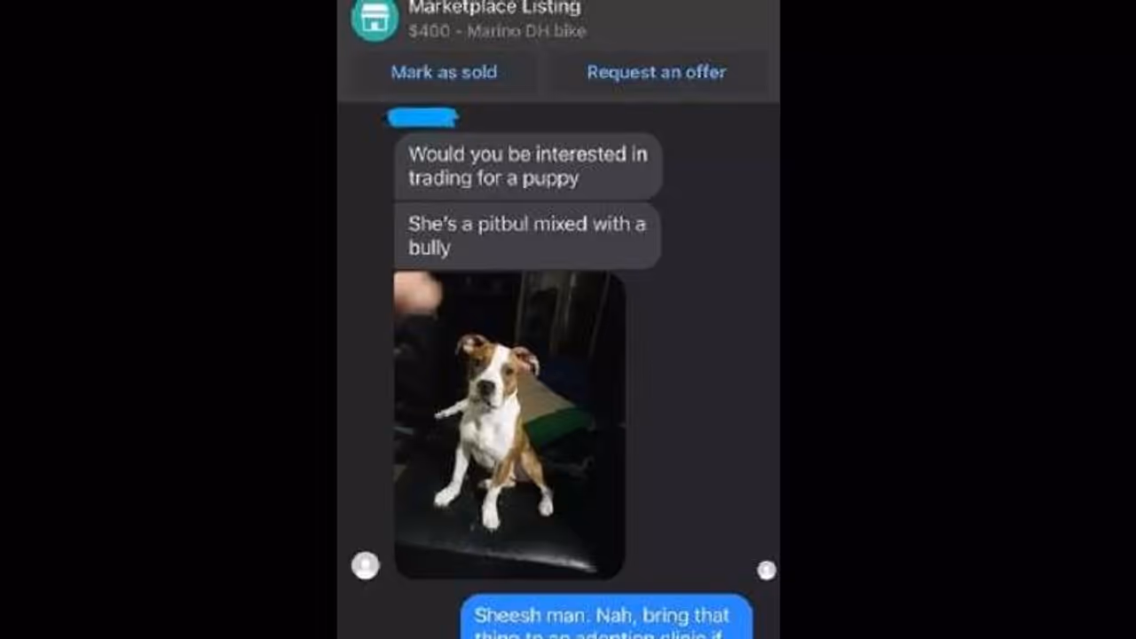 ബൈക്ക് വേണം, പകരം പട്ടിക്കുട്ടിയെ തരട്ടേ എന്ന് യുവാവ് ബൈക്ക് വേണം, പകരം പട്ടിക്കുട്ടിയെ തരട്ടേ എന്ന് യുവാവ്