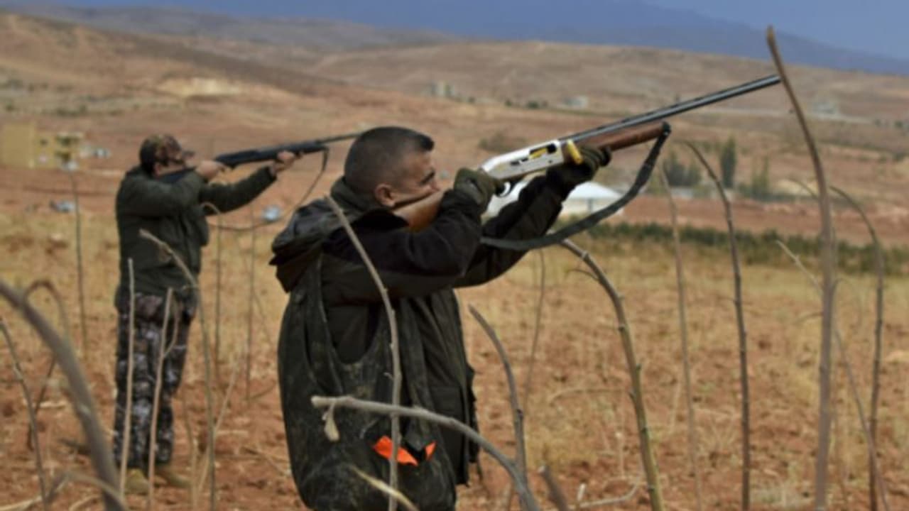 സൗദി അറേബ്യയില്‍ അ‍ഞ്ച് മാസത്തേക്ക് പക്ഷികളെയും മൃഗങ്ങളെയും വേട്ടയാടാന്‍ നിയന്ത്രണങ്ങളോടെ അനുമതി