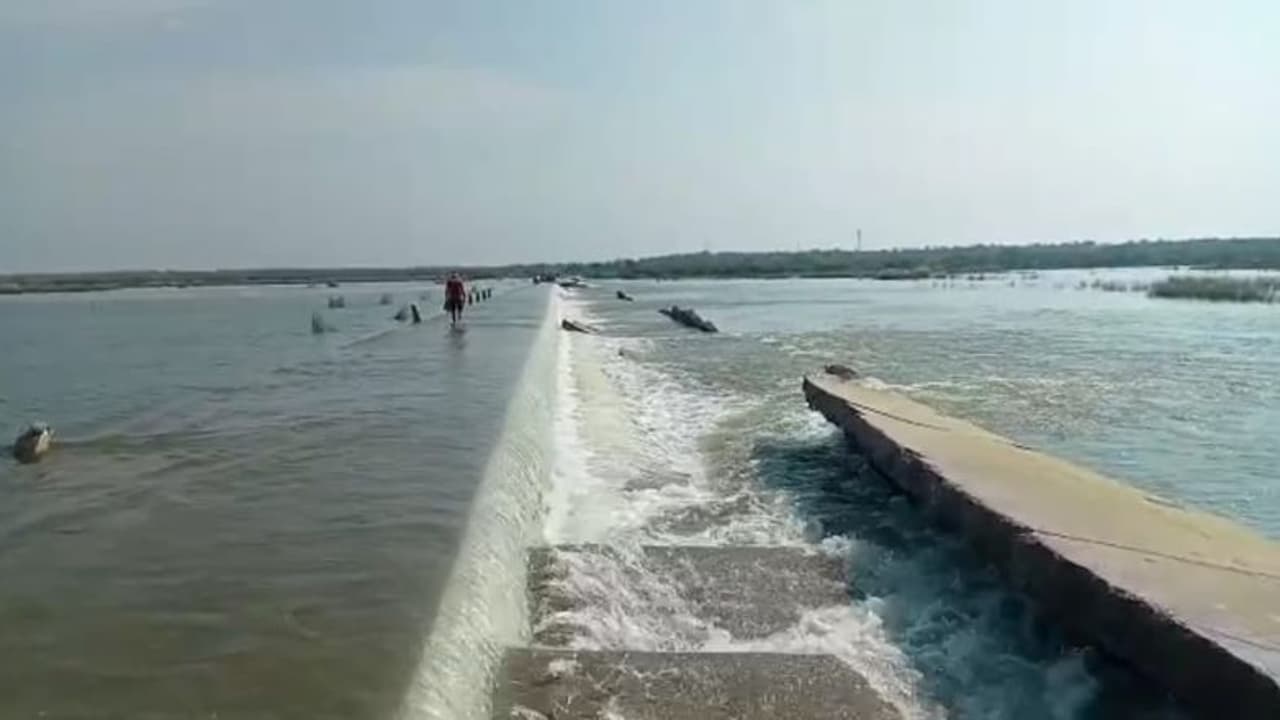 राजस्थान में यहां पूरी रात बारिश से हुए बुरे हाल, नदी में इतना पानी आया कि बह गई पुलिया राजस्थान में यहां पूरी रात बारिश से हुए बुरे हाल, नदी में इतना पानी आया कि बह गई पुलिया