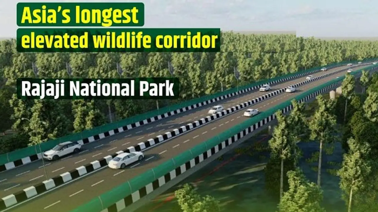 wildlife Corridor; ದೆಹಲಿ ಡೆಹ್ರಡೂನ್ ಏಷ್ಯಾದ ಅತೀ ದೊಡ್ಡ ವನ್ಯಜೀವಿ ಹೆದ್ದಾರಿ ಶೀಘ್ರದಲ್ಲೇ ಲೋಕಾರ್ಪಣೆ! wildlife Corridor; ದೆಹಲಿ ಡೆಹ್ರಡೂನ್ ಏಷ್ಯಾದ ಅತೀ ದೊಡ್ಡ ವನ್ಯಜೀವಿ ಹೆದ್ದಾರಿ ಶೀಘ್ರದಲ್ಲೇ ಲೋಕಾರ್ಪಣೆ!