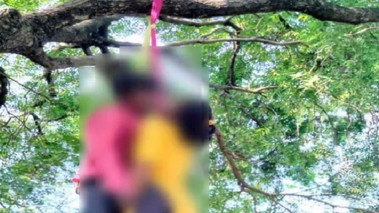 पेड़ के नीचे श्रृंगार का सामान, ऊपर फंदे पर झूल रहा था कपल...दोनों की जाति एक फिर क्यों किया सुसाइड? पेड़ के नीचे श्रृंगार का सामान, ऊपर फंदे पर झूल रहा था कपल...दोनों की जाति एक फिर क्यों किया सुसाइड?
