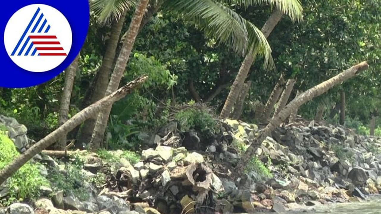 Uttara Kannada: ಹೊನ್ನಾವರದ ತೊಪ್ಪಲಕೆರೆ ನಿವಾಸಿಗಳಿಗೆ ಕಡಲ್ಕೊರೆತದ ಸಂಕಷ್ಟ Uttara Kannada: ಹೊನ್ನಾವರದ ತೊಪ್ಪಲಕೆರೆ ನಿವಾಸಿಗಳಿಗೆ ಕಡಲ್ಕೊರೆತದ ಸಂಕಷ್ಟ