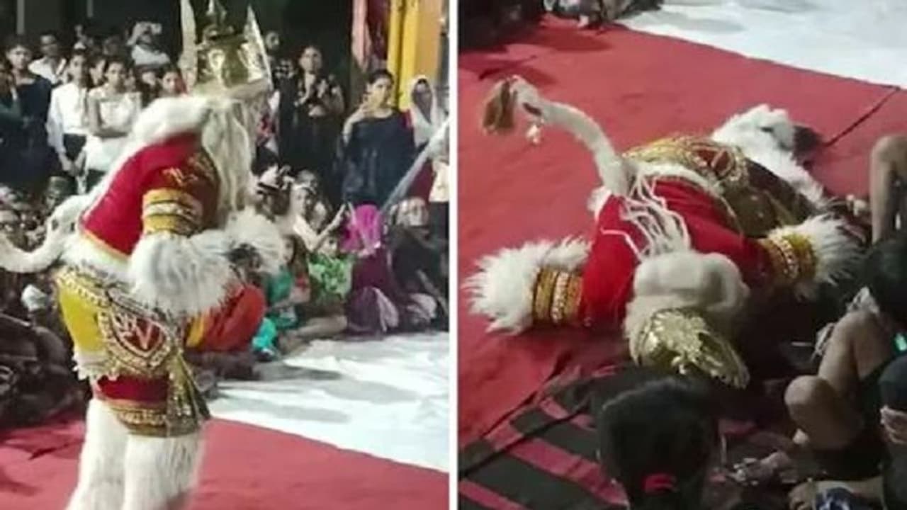 वीडियो वायरल: गणेश पंडाल में नाचते नाचते युवक की हुई मौत, अचानक गिरने पर अभिनय का हिस्सा समझ रहे थे लोग वीडियो वायरल: गणेश पंडाल में नाचते नाचते युवक की हुई मौत, अचानक गिरने पर अभिनय का हिस्सा समझ रहे थे लोग