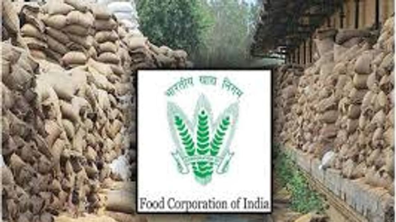 இந்திய உணவுக் கழகத்தில் 5,043 காலி பணியிடங்களுக்கு ஆட்சேர்ப்பு அறிவிப்பு.. யாரெல்லாம் தகுதி..? விவரம் உள்ளே இந்திய உணவுக் கழகத்தில் 5,043 காலி பணியிடங்களுக்கு ஆட்சேர்ப்பு அறிவிப்பு.. யாரெல்லாம் தகுதி..? விவரம் உள்ளே