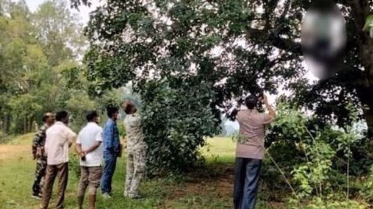  दुमका में एक और बेटी की हत्या: 15 साल की लड़की को प्रेग्नेंट कर मार डाला, फिर पेड़ से लटका दी लाश...