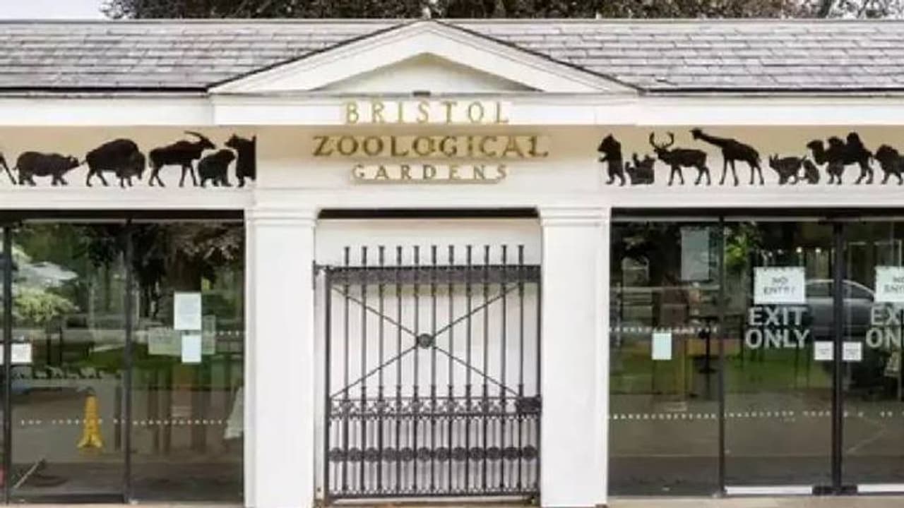 ലോകത്തിലെ ഏറ്റവും പഴക്കം ചെന്ന മൃശാലകളിലൊന്ന് അടച്ചു പൂട്ടുന്നു, കാരണം ഇത്... ലോകത്തിലെ ഏറ്റവും പഴക്കം ചെന്ന മൃശാലകളിലൊന്ന് അടച്ചു പൂട്ടുന്നു, കാരണം ഇത്...