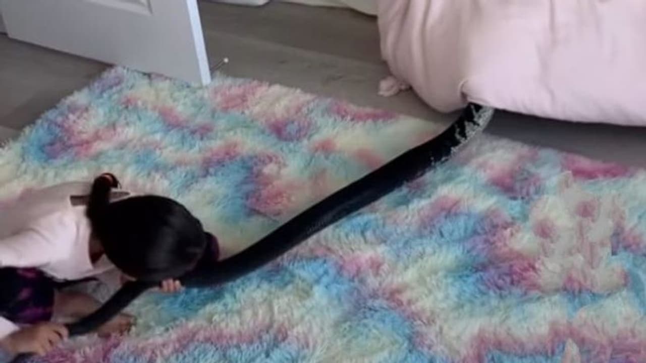 खतरनाक काले अजगर को पूंछ से पकड़कर खींच रही थी लड़की.. वीडियो में देखिए आगे क्या हुआ 