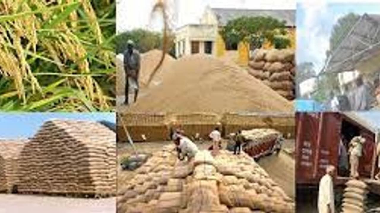 நுகர்பொருள் வாணிபக் கழகத்தில் வேலை.. 8 ஆம் வகுப்பு படித்திருந்தால் போதும்.. உடனே விண்ணப்பியுங்கள்..