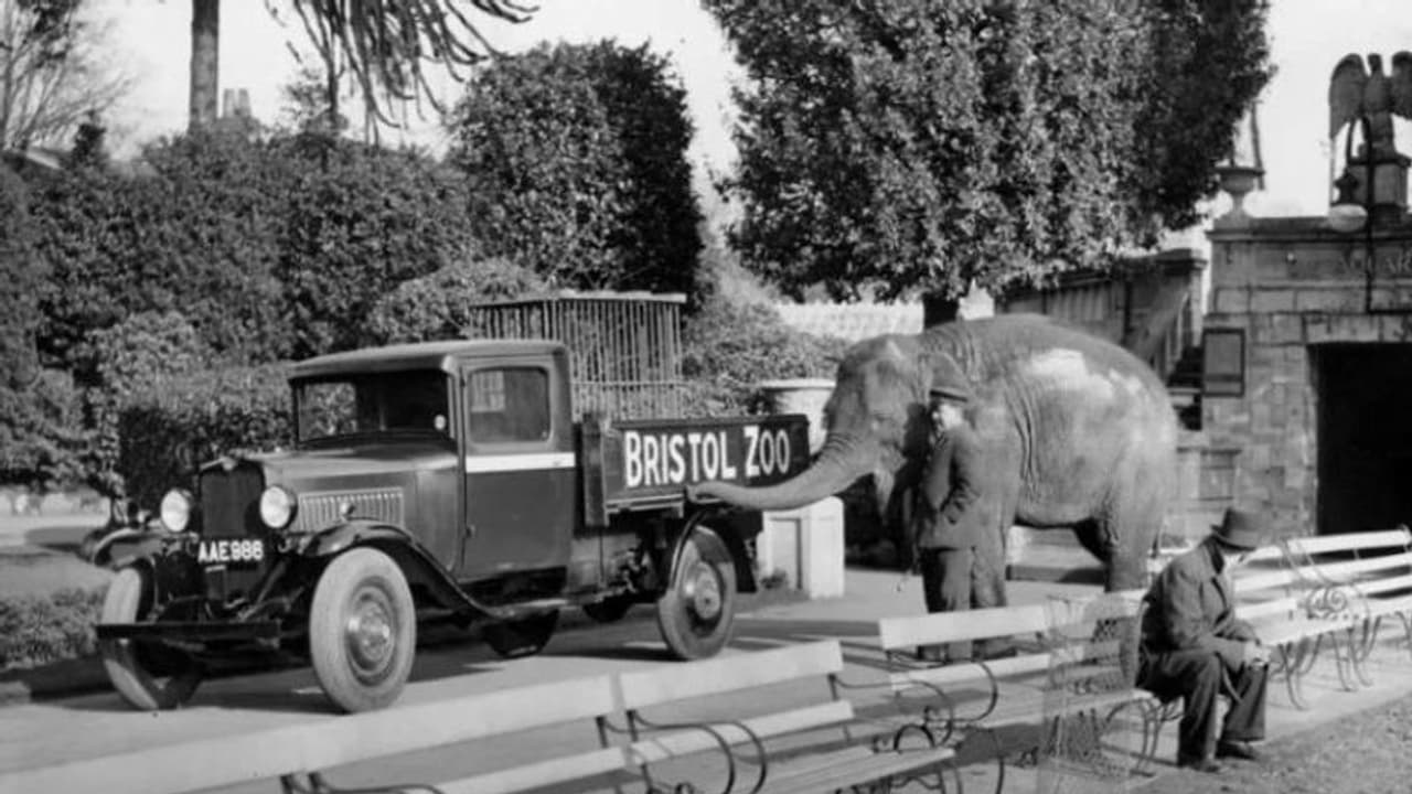 दुनिया का सबसे पुराना चिड़ियाघर हो गया बंद, जानिए क्यों लेना पड़ा ये सख्त फैसला दुनिया का सबसे पुराना चिड़ियाघर हो गया बंद, जानिए क्यों लेना पड़ा ये सख्त फैसला