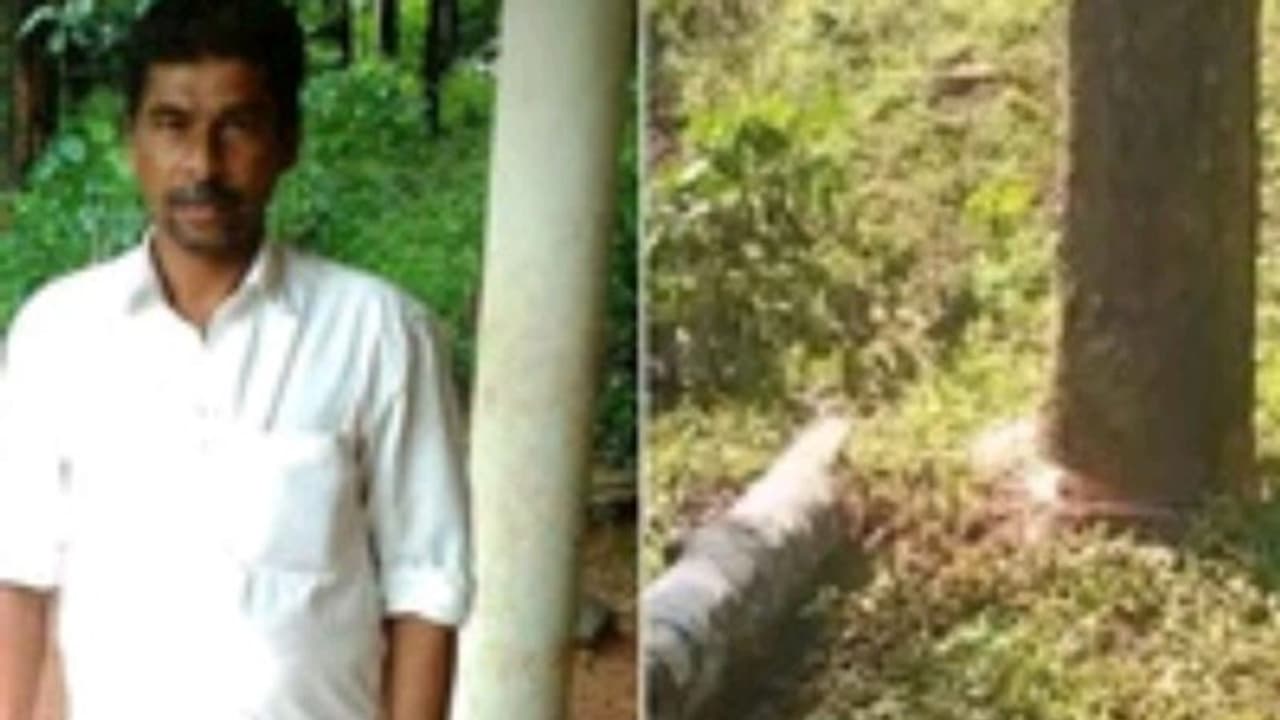 മരം മുറിക്കുന്നതിനിടയില് മരക്കൊമ്പ് തലയില് വീണ് തൊഴിലാളി മരിച്ചു മരം മുറിക്കുന്നതിനിടയില് മരക്കൊമ്പ് തലയില് വീണ് തൊഴിലാളി മരിച്ചു
