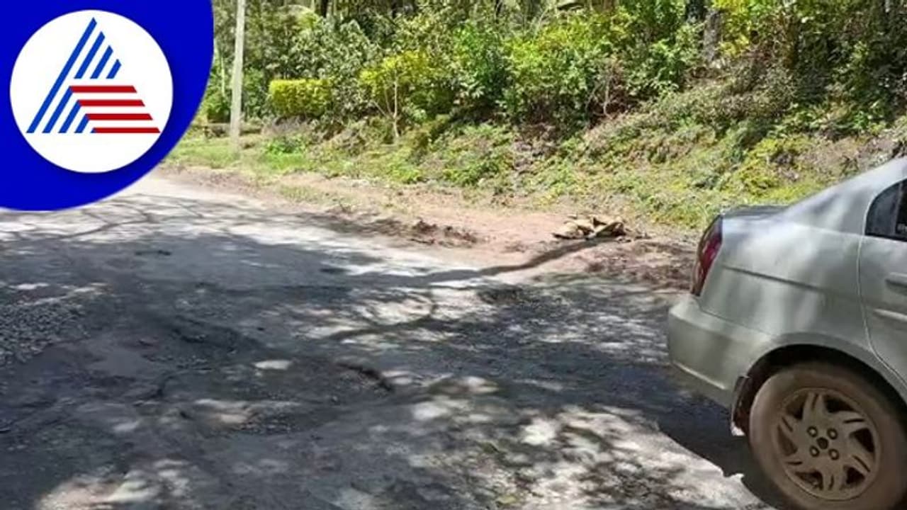 ಚಿಕ್ಕಮಗಳೂರು ಮೂಡಿಗೆರೆ ರಾಷ್ಟ್ರೀಯ ಹೆದ್ದಾರಿ ದುಸ್ಥಿತಿ ಕೇಳೋರೇ ಇಲ್ಲ!