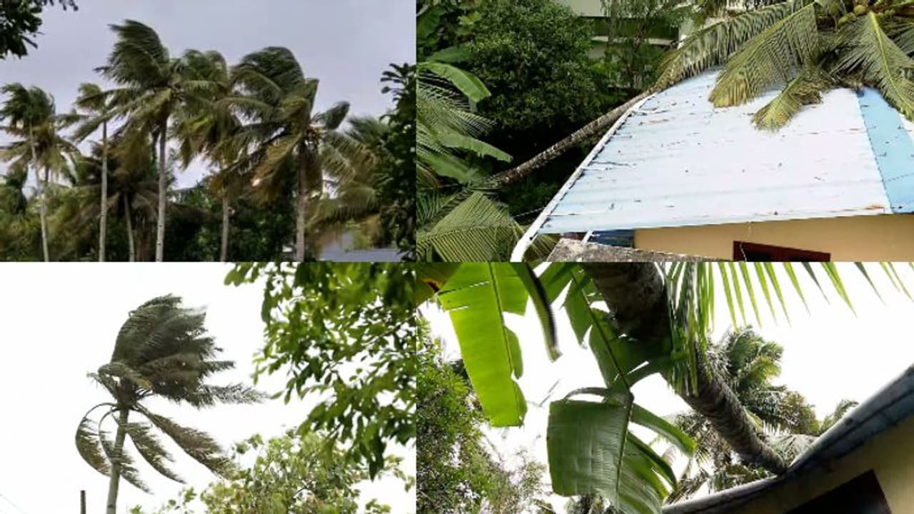 കൊല്ലത്ത് ശക്തമായ കാറ്റ്, വ്യാപക നാശം; ആര്യങ്കാവ് പാതയിൽ റെയിൽപ്പാളത്തിൽ മരം വീണു, തിരുവനന്തപുരത്ത് ഖനനനിരോധനം കൊല്ലത്ത് ശക്തമായ കാറ്റ്, വ്യാപക നാശം; ആര്യങ്കാവ് പാതയിൽ റെയിൽപ്പാളത്തിൽ മരം വീണു, തിരുവനന്തപുരത്ത് ഖനനനിരോധനം