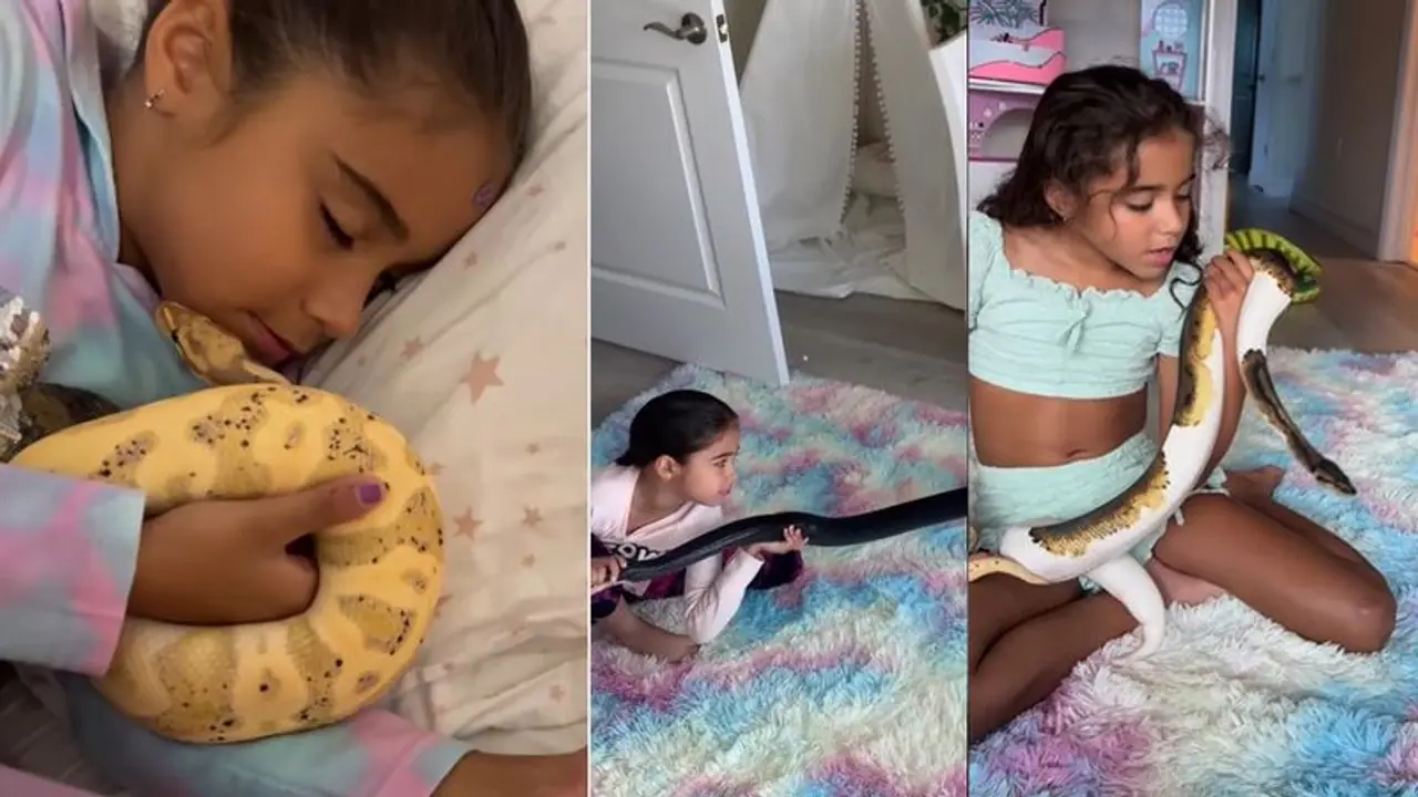 ಹಾವಿನೊಂದಿಗೆ ಆಟ ಊಟ ಪಾಠ: ಇನ್ಸ್ಟಾಗ್ರಾಮ್‌ನಲ್ಲಿ ವೈರಲ್ ಆದ ಸ್ನೇಕ್ ಗರ್ಲ್‌