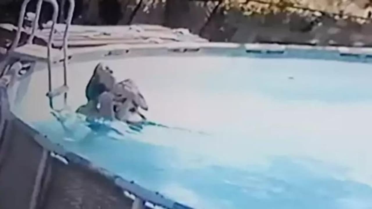 Viral Video: നീന്തല്‍ക്കുളത്തില്‍വച്ച് അമ്മയ്ക്ക് അപസ്മാരം; രക്ഷിച്ച് പത്തുവയസുകാരന്‍; വീഡിയോ 