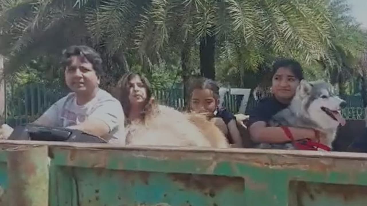 কোটি টাকার আট্টালিকা জলের তলায়, ট্রাক্টরে করে পালালেন সিইও